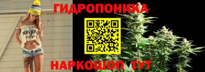 2c-b Ачхой-Мартан