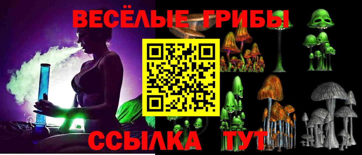 Галлюциногенные грибы прущие грибы  Галлюциногенные грибы Magic Shrooms  Каменка  Вход с VPN 